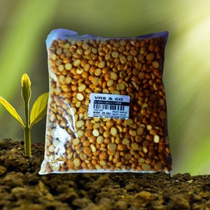 கடலை பருப்பு || kadalai paruppu || Chana Dal || 250g