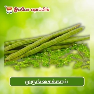 முருங்கைக்காய்  || Murungaikaai - 10 Rs || 1 Pc