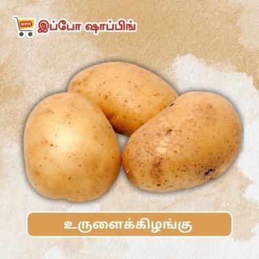 உருளைக்கிழங்கு  || Potato - 60 Rs  || 1 Kg