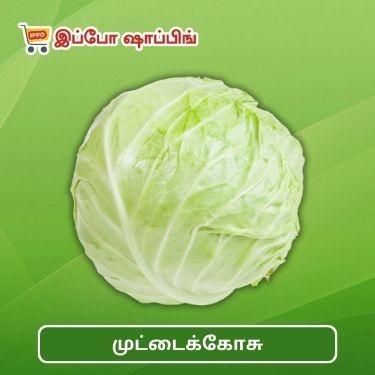 முட்டைக்கோசு  || Cabbage - 40 Rs  || 1 Kg