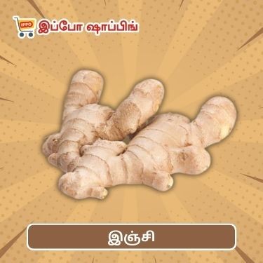 இஞ்சி || Ginger - 30 Rs || 100g