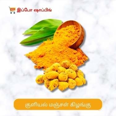 Kuliyal Manjal Kilangu - Gundu Manjal - குளியல் மஞ்சள் கிழங்கு - 5 Rs