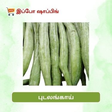 புடலங்காய்  || snake gourd - 35 Rs || 1 Kg